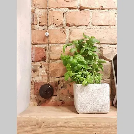 Apartamento In *